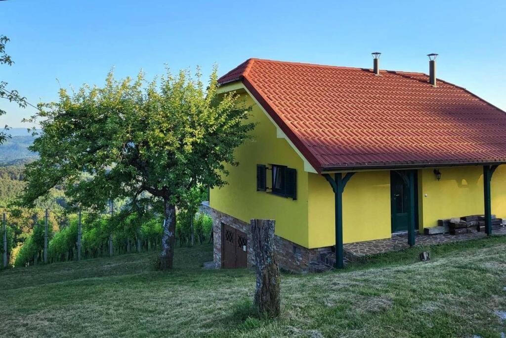 Vikend Hisa Vrhe Βίλα Senovo Εξωτερικό φωτογραφία